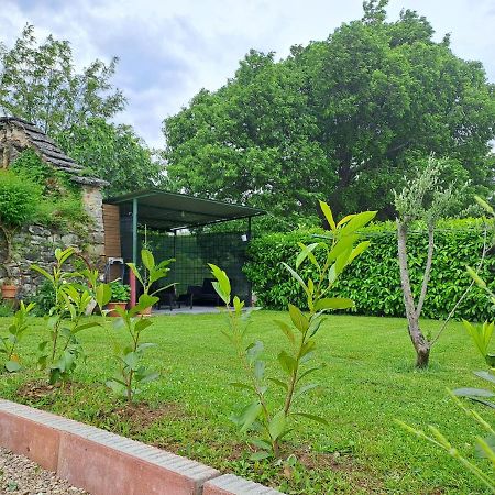 Guesthouse Marija Potpićan Dış mekan fotoğraf