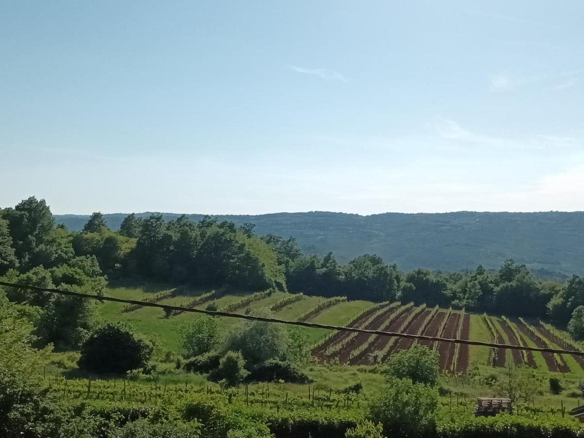 Guesthouse Marija Potpićan Dış mekan fotoğraf